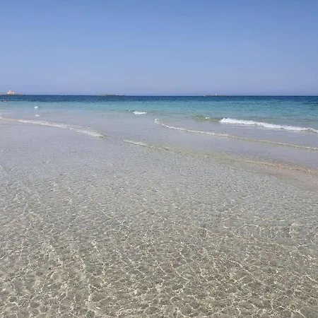 Tradomari